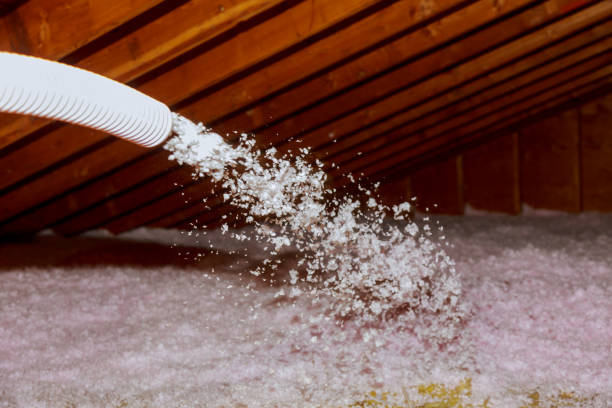 Best Commercial Insulation Contractor  in Mckinney, TX