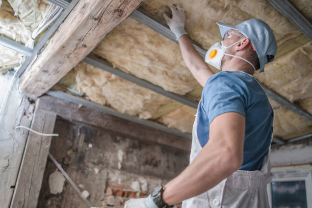 Insulation Inspection Services in Mckinney, TX