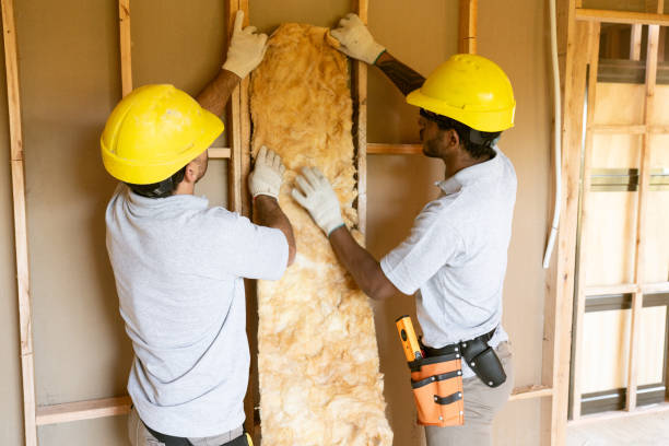Best Insulation Removal  in Mckinney, TX