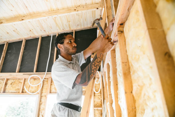 Best Wall Insulation Contractor  in Mckinney, TX