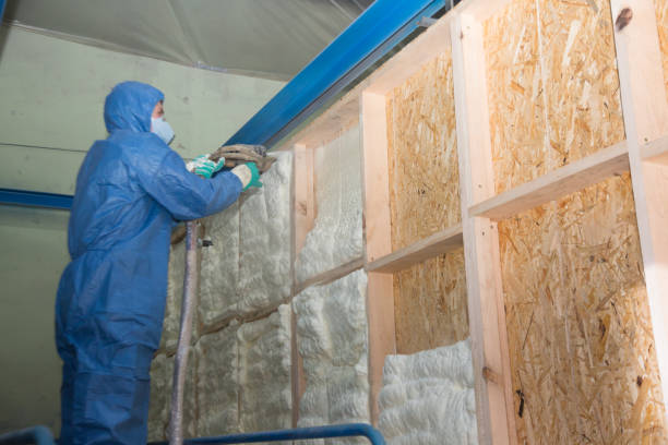 Best Residential Insulation Services  in Mckinney, TX