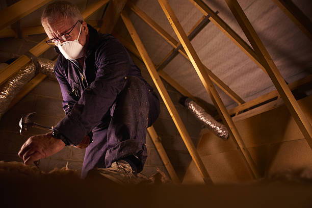Best Commercial Insulation Contractor  in Mckinney, TX