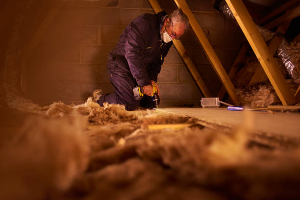Best Energy-efficient Insulation  in Mckinney, TX